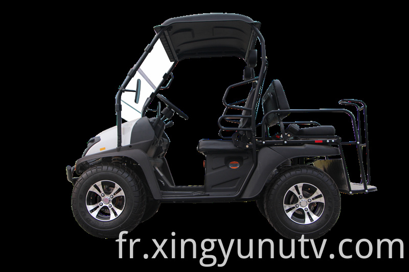 2021 vente chaude de haute qualité 5kw électrique UTV EEC Golf de golf